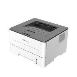 Pantum P3020D Impresora Laser Monocromo